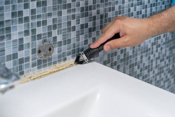 Best Professional Mold Removal  in Tarentum, PA